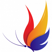 Coding Butterfly - Boston logo